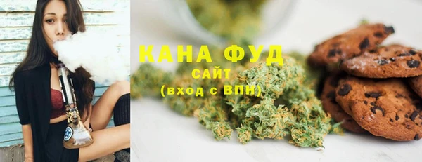 индика Волосово