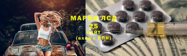 индика Волосово
