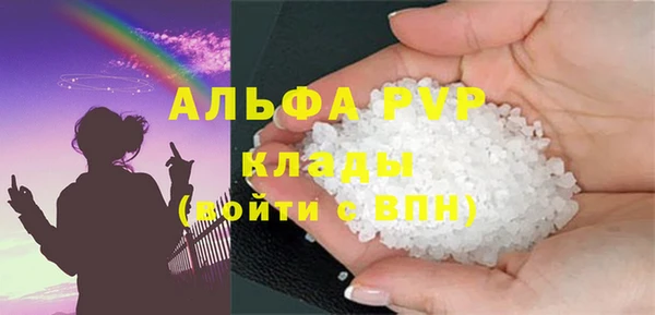 индика Волосово