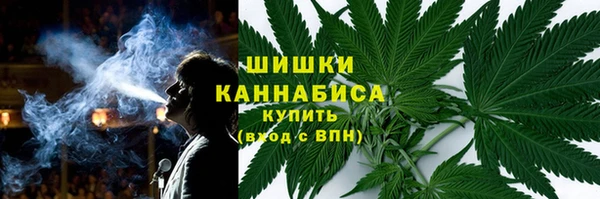 индика Волосово