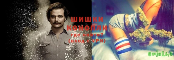 индика Волосово