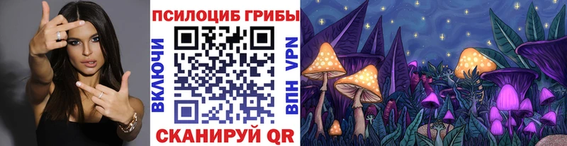 Купить где  Котлас  Псилоцибиновые грибы Magic Shrooms 